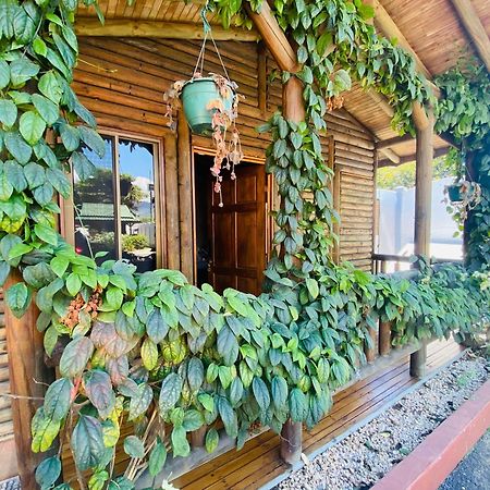 Bungalows Ballena Uvita Exterior foto