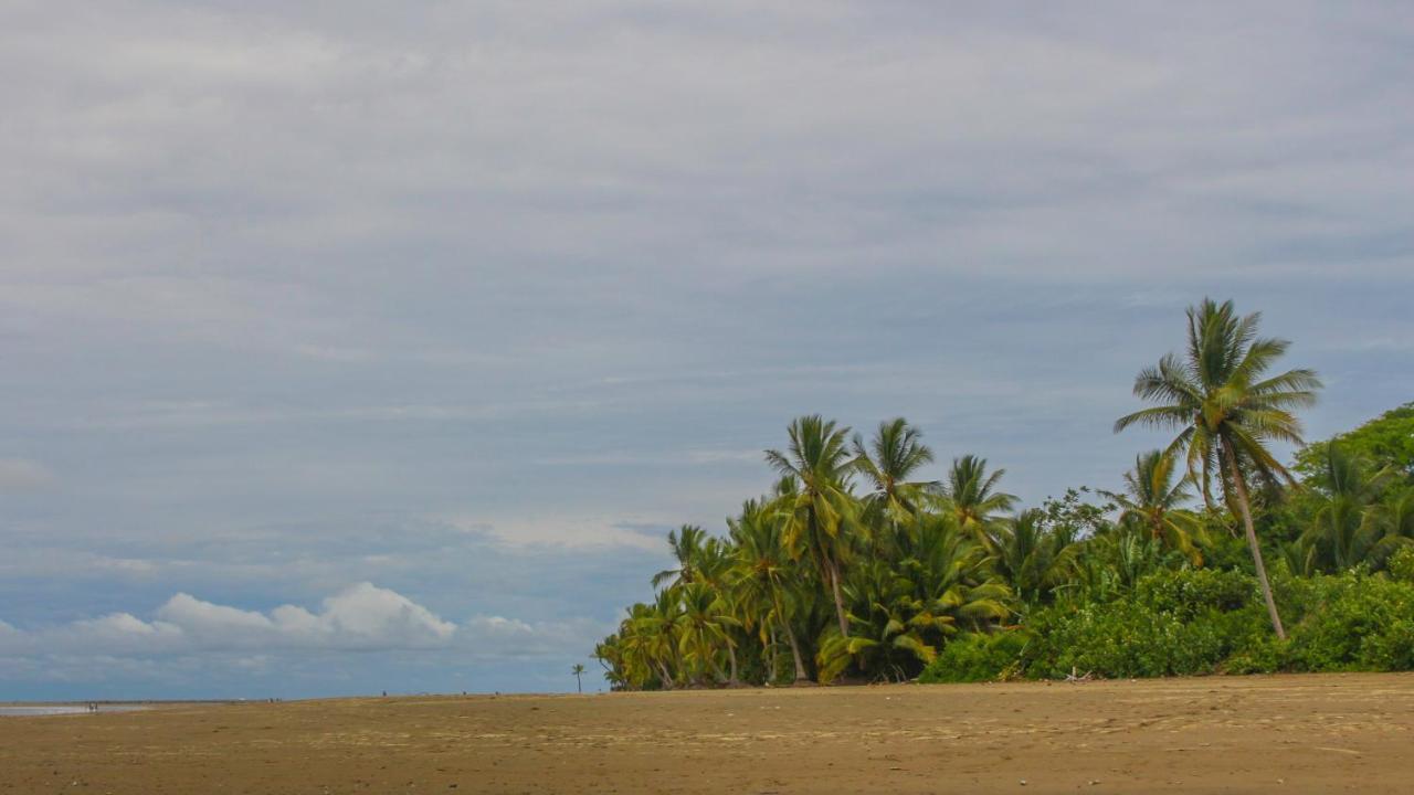 Bungalows Ballena Uvita Exterior foto