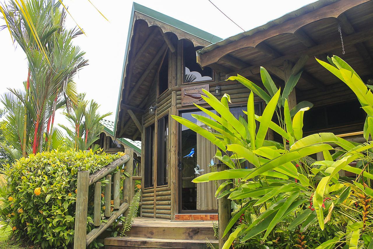 Bungalows Ballena Uvita Exterior foto